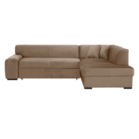 0000209228-minerva-m5-p-2.png