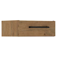 0000211750-VEGA-40-G-13-1S-01.png