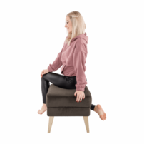0000238862-rodeza-taburet-sivohneda-model-01.png