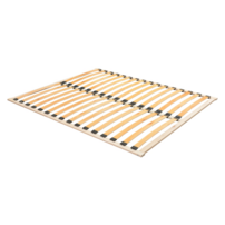 0000246057-stelar-rost-noove-01.png