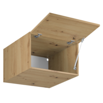 0000263570-langen-n60-open-1m.png