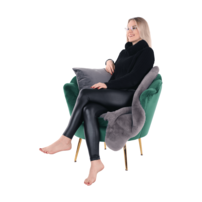 0000267584-noblin-kreslo-smaragdova-model-02.png