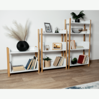 0000272249-baltika-typ2-regal-11-min.png