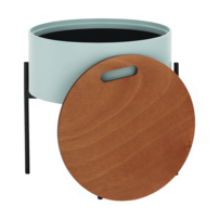 0000273616-mosai-mint-12.png