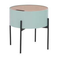 0000273616-mosai-mint-14.png