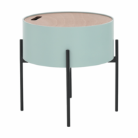 0000273616-mosai-mint-15.png