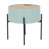 0000273616-mosai-mint-16.png