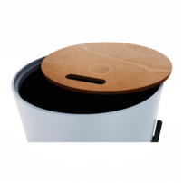0000273617-mosai-siva-04.png