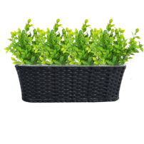 0000282968-jeor-kvetinac-cierny-1x1k-03.png