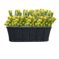 0000282968-jeor-kvetinac-cierny-1x1k-04.png