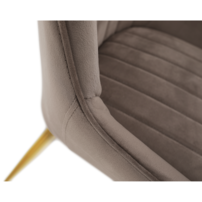 0000297882-perlia-stolicka-sivohneda-03.png