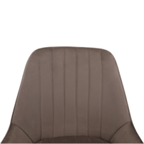 0000297882-perlia-stolicka-sivohneda-05.png