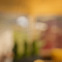 0000298809-ringe-typ-2-stan-exterier-02.png