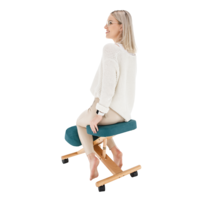 0000300220-flonet-model-02.png