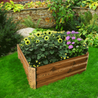 0000306368-nonky-typ-2-kvetinac-hneda-extr-02.png