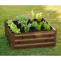 0000306371-01-nonky-tyyp-3-exterier-new-01-min.png