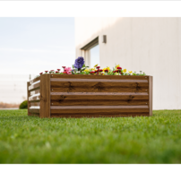 0000306371-nonky-hneda-new-ak-03-min.png