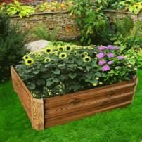 0000306375-nonky-typ-5-kvetinac-hneda-extr.png