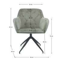 0000365589-veleza-new-stolicka-sivohneda-koty-upravene.png