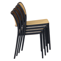 0000373360-ravid-typ-1-cierna-02.png