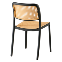 0000373360-ravid-typ-1-cierna-05.png
