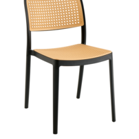 0000373360-ravid-typ-1-cierna-07.png