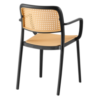 0000373362-ravid-typ-2-ciena-05.png