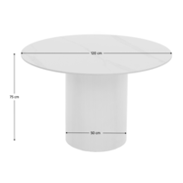 0000386990-mahir-typ-1-stol-biela-koty-a.png