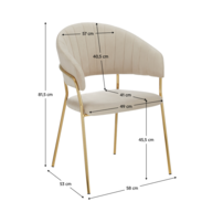 0000393521-dasmin-typ-1-bezova-o-koty-o.png