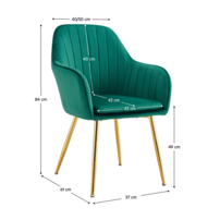 0000394055-adlam-new-nahr-smaragd-opr-koty.png