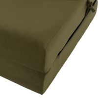 0000397460-pelos-matrac-olivova-11.png