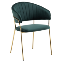 0000401867-dasmin-typ-1-zelena-01.png