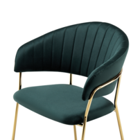 0000401867-dasmin-typ-1-zelena-03.png