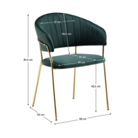 0000401867-dasmin-typ-1-zelena-koty-01.png