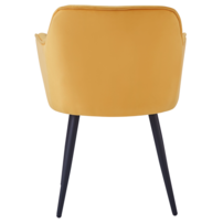 0000402500-fedris-new-stolicka-zlta-03.png