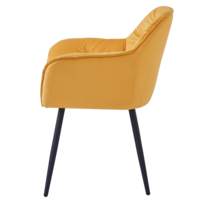 0000402500-fedris-new-stolicka-zlta-04.png