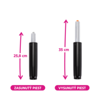 0000406785-piest-typ-1-cierna-infografika-02-sk.png