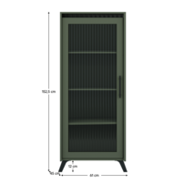 0000410607-longy-vitrina-1w-dod-zelena-koty.png