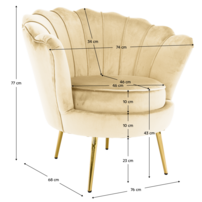 0000411645-nobleo-kreslo-typ1-qw-pan-koty.png