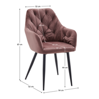 0000411788-verio-new-stolicka-tm-ruzova-v-koty.png