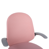 0000411863-pastura-kanc-kreslo-ruzova-dod-10.png