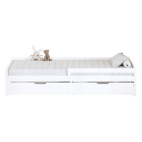 0000412693-mix new-postel-d-03.png