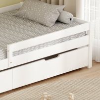 0000412693-mix new-postel-d-12.png