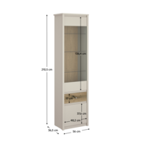 0000413367-karos-vitrina-vys-1d1w1s-kasmir-dub-01-koty.png