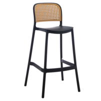 0000415364-ravid-new-typ2-d-o1.png